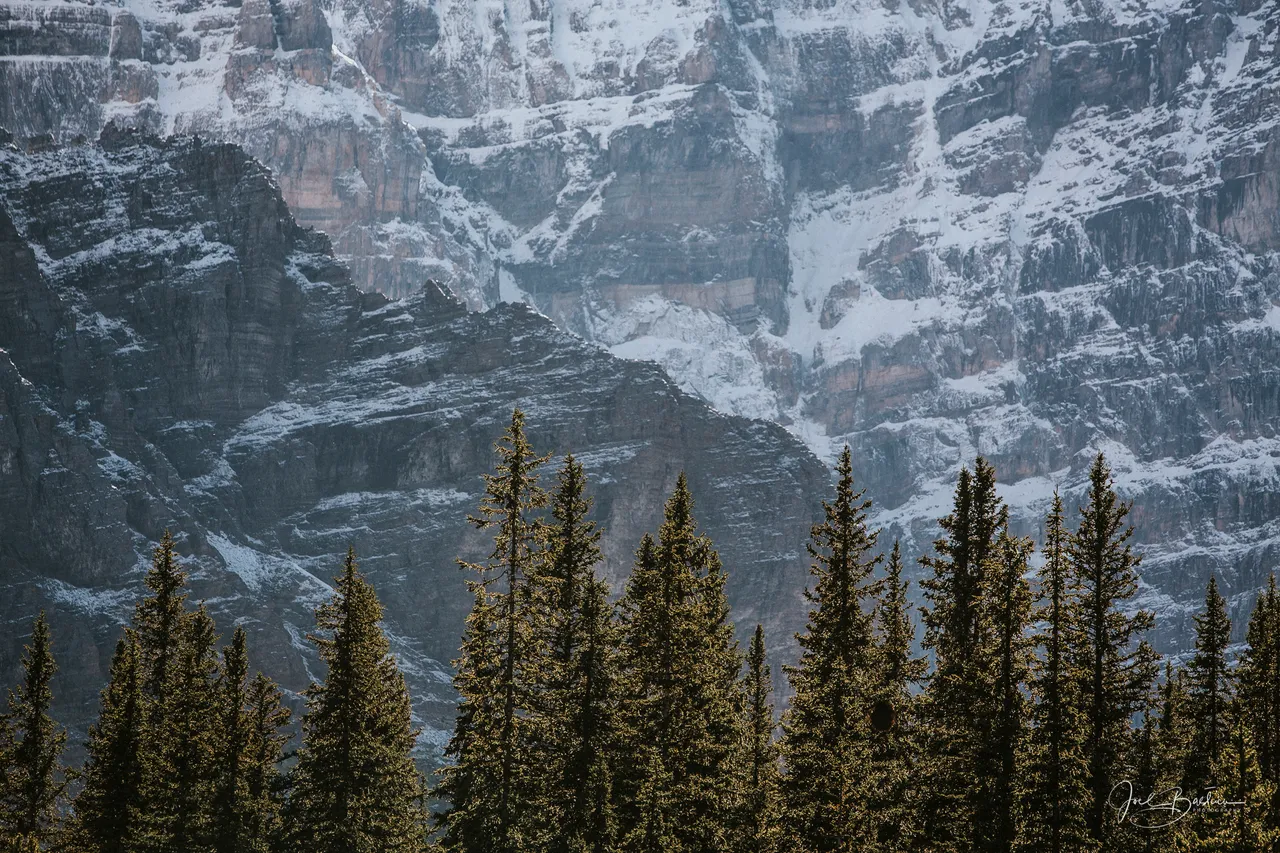 Alberta2016-5.jpg