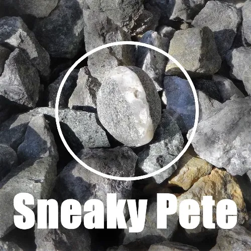 SneakyPete.sm.jpg