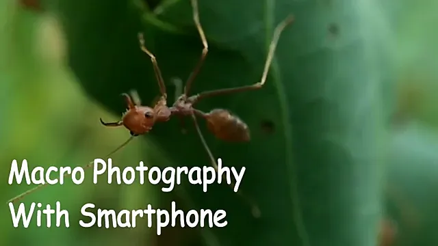 1517207280593.png