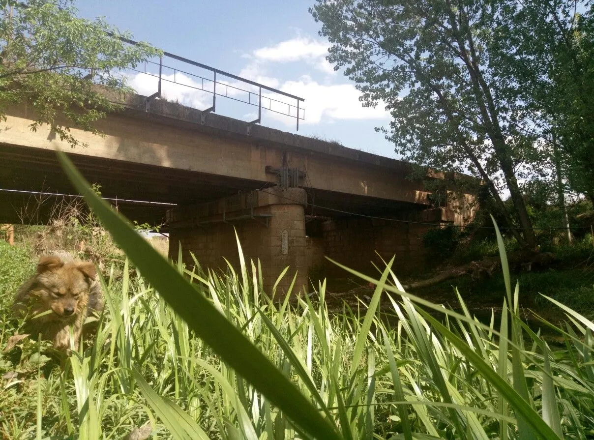 P80410-155104.jpg