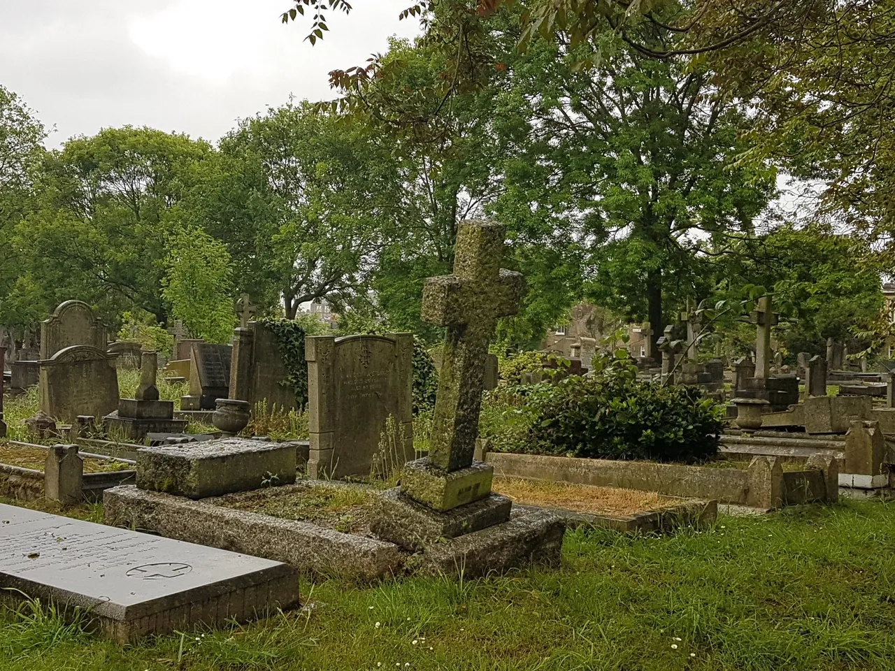main_image