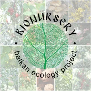 BIO Nursery.jpg