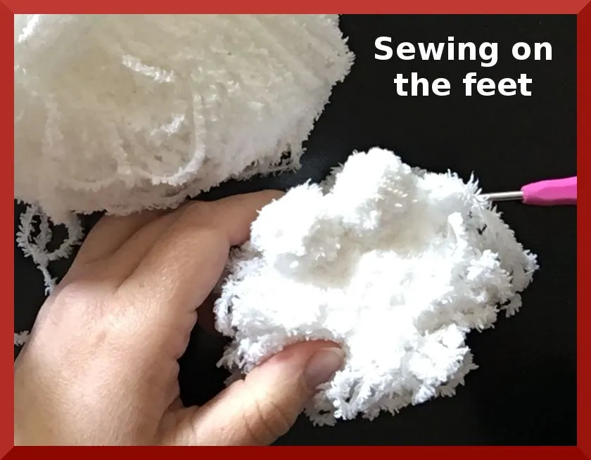bichon feet.JPG