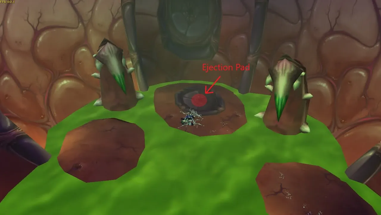 CThunStomach2.jpg