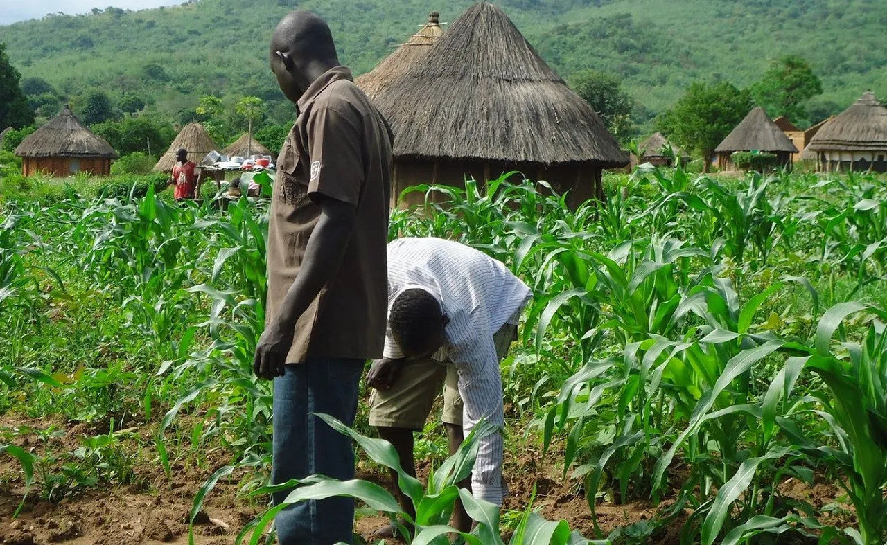 farmers (1).jpg