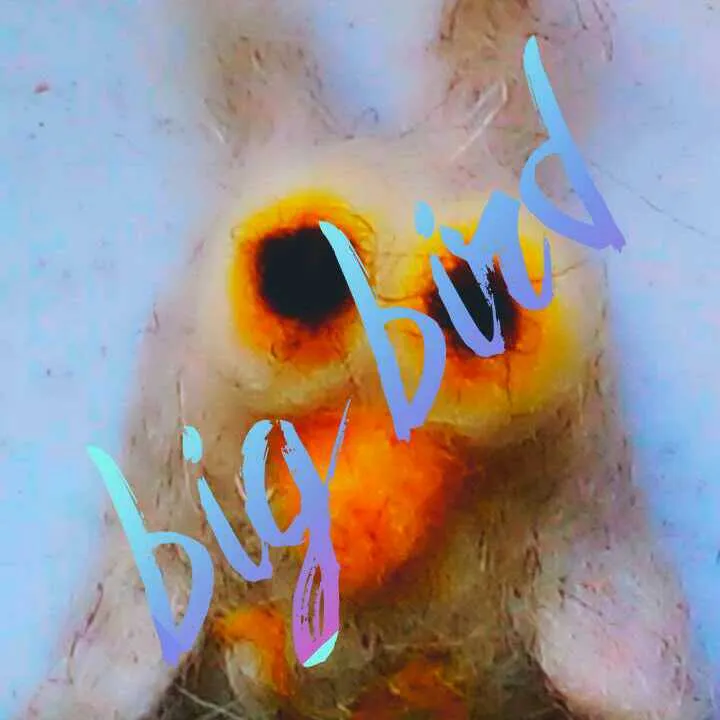 1525711236506.jpg
