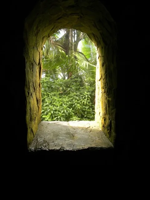 Open Window.jpg