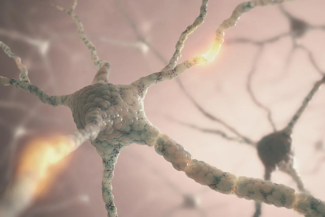 NeuronNetwork.jpg