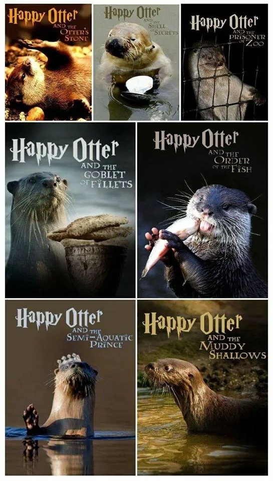 happy otter.jpg