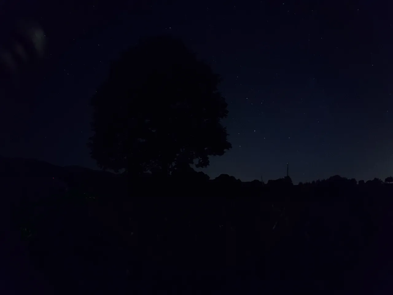Nighttime-Web.jpg