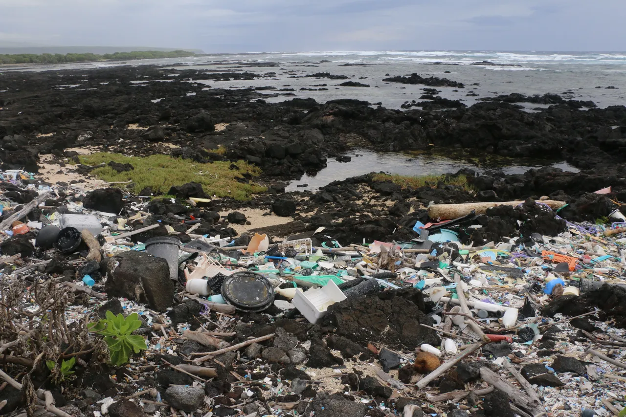 PlasticPoint2.jpg