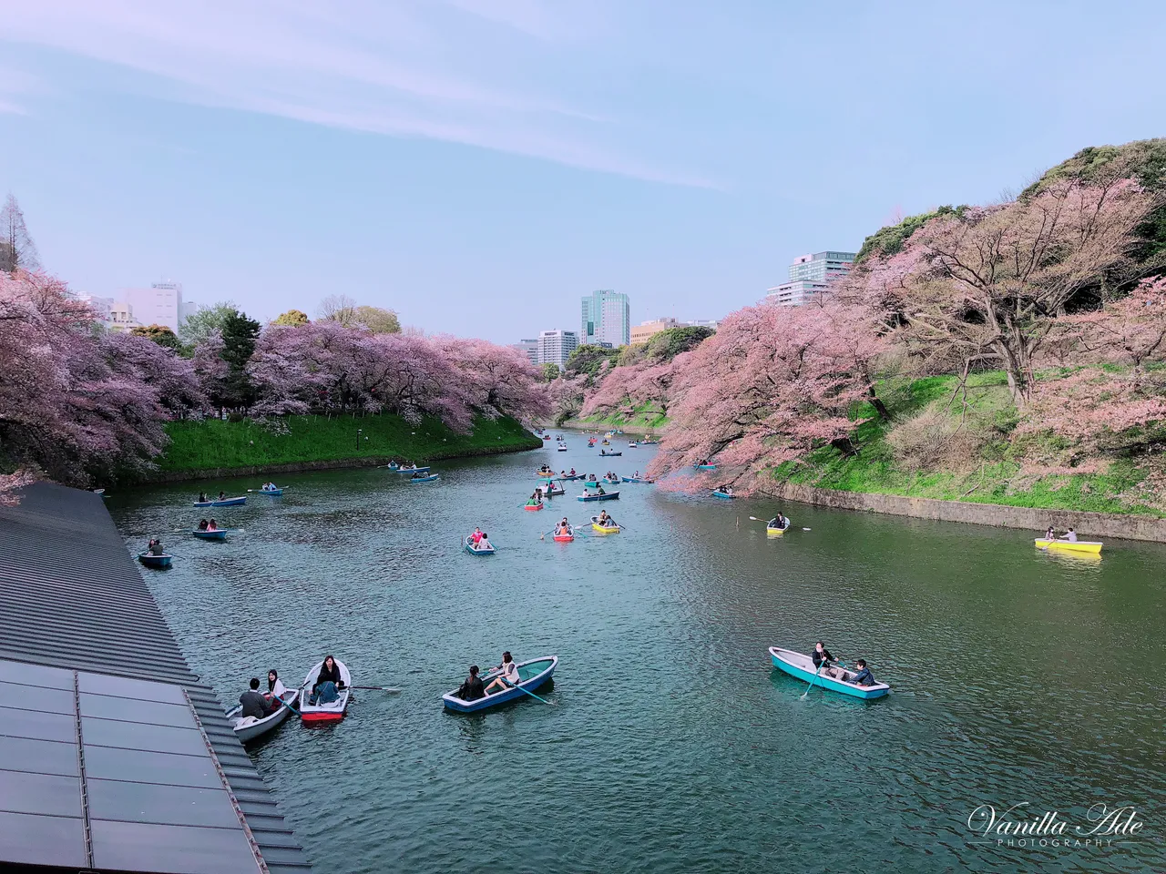 flower&boat.jpg