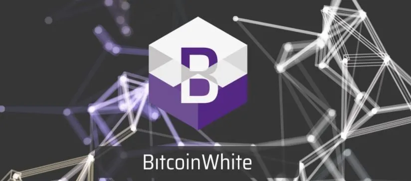 bitcoin_white.JPG