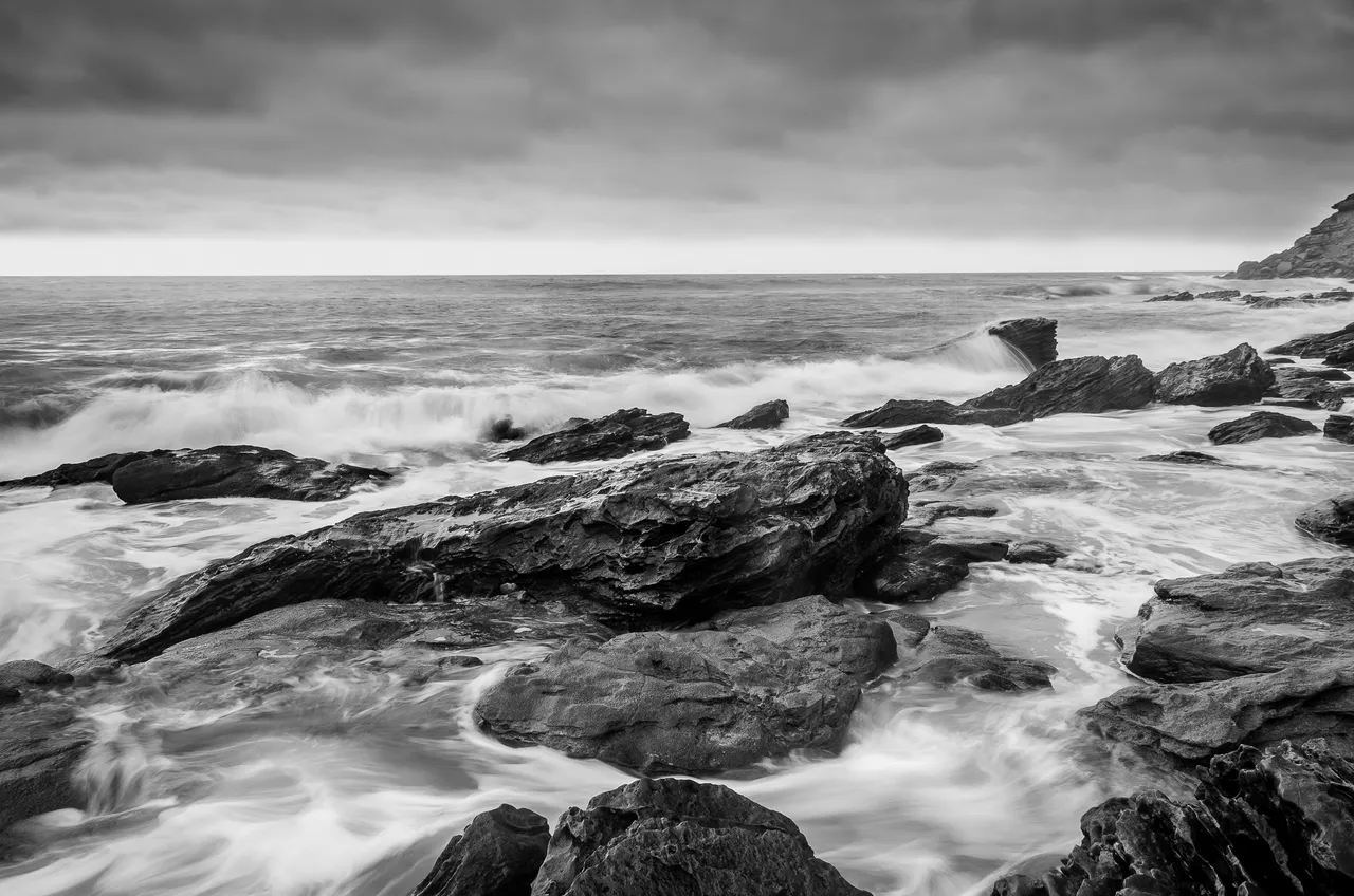 DSC_4446-Edit.jpg
