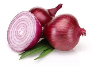 onion-300x221.jpg