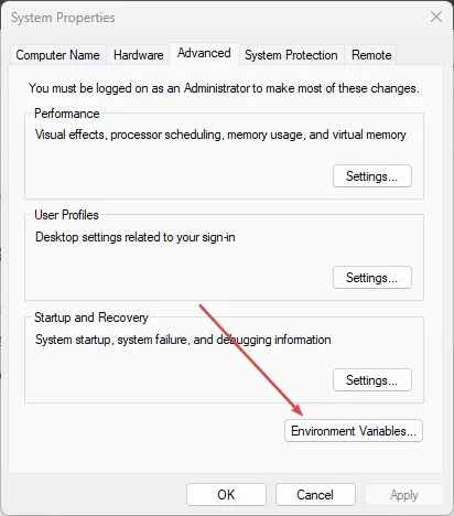Windows-11-Environment-Variables