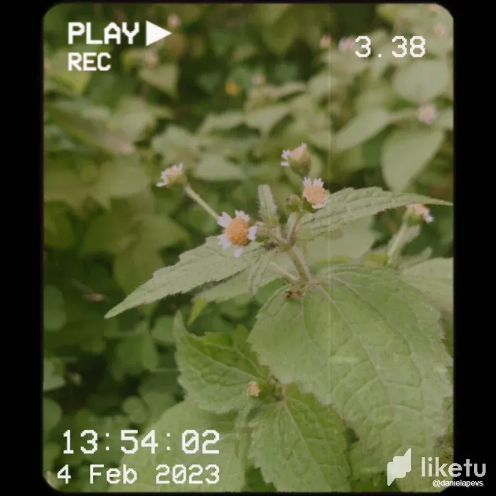 cldq99v2d00g28cszdttja83e_WhatsApp_Image_2023-02-04_at_15.36.36_1.webp