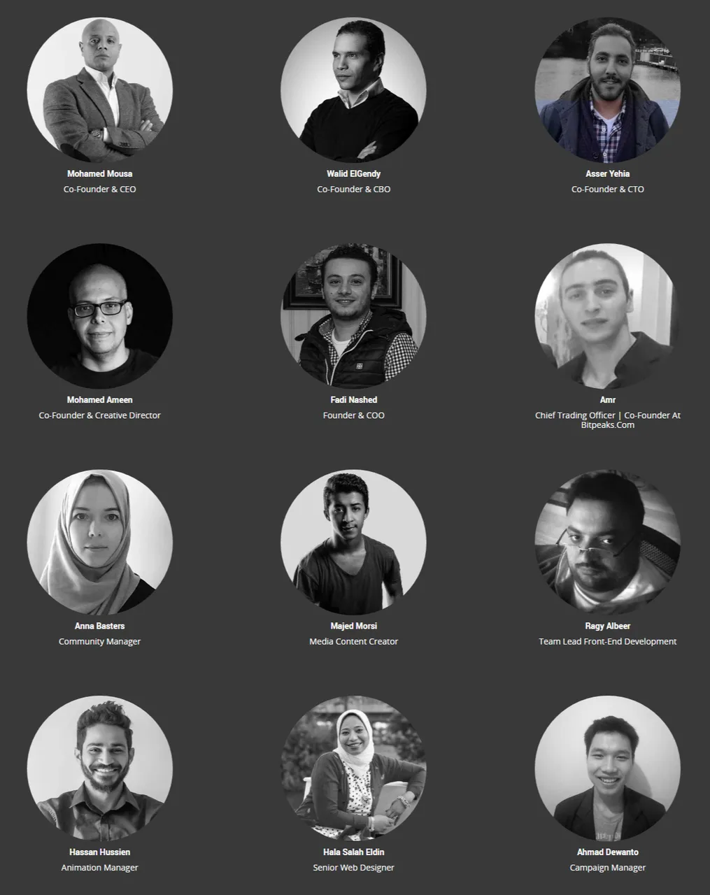 RedCab - Decentralized Peer 2 Peer Transportation Solution ICO on the Blockchain.png