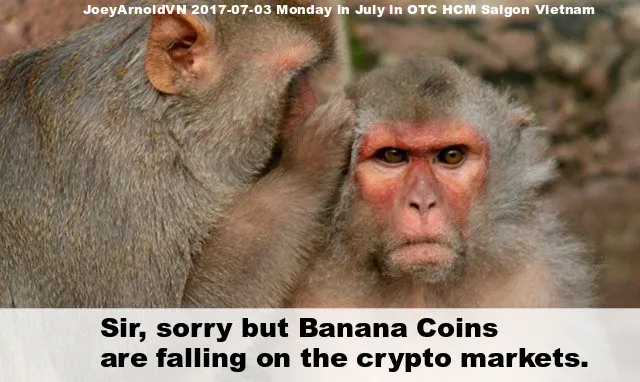 2017-07-03 - Monday - 05:45 AM - BANANA COIN MEME FOR STEEMIT - Joeyarnoldvn.png