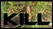 a venom kill