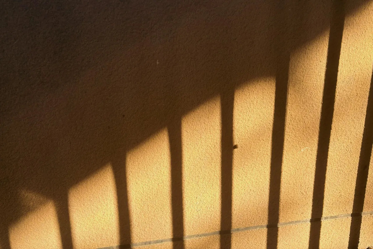 IMG_3353.jpeg