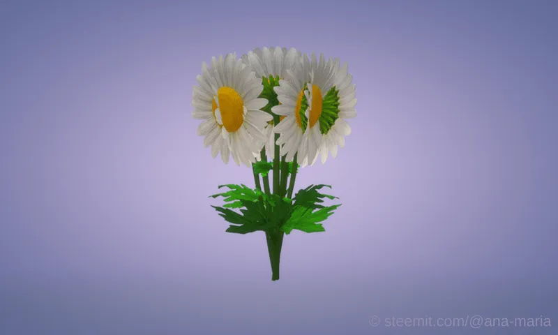 Daisy Bouquet