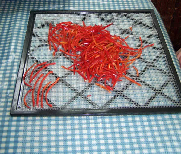 Paprika - sliced for dehydrator crop Sept. 2018.jpg