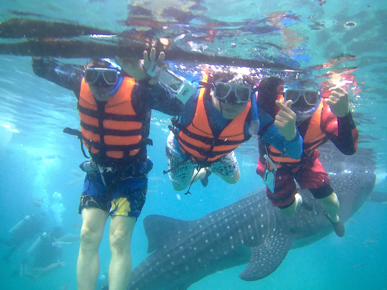 Oslob Whaleshark Watching and Kawasan Canyoneering8.jpg