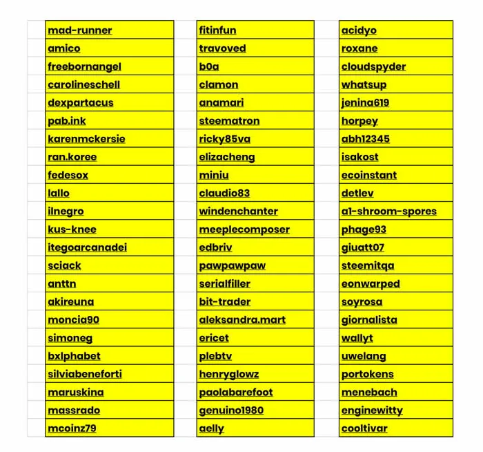 01. MANNEQOIN holders 15 luglio 2019 - Sheet1-1.jpg