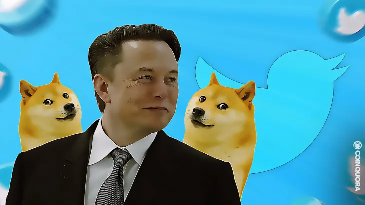 Elon_Buys_Twitter_Token_Dogecoin_Pump_After_Elon_Musk_Buys_Twitter.jpg