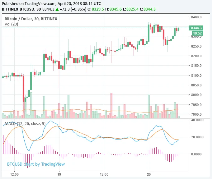 cryptocurrency-market-surges-to-365-billion-start-of-a-bull-rally.png