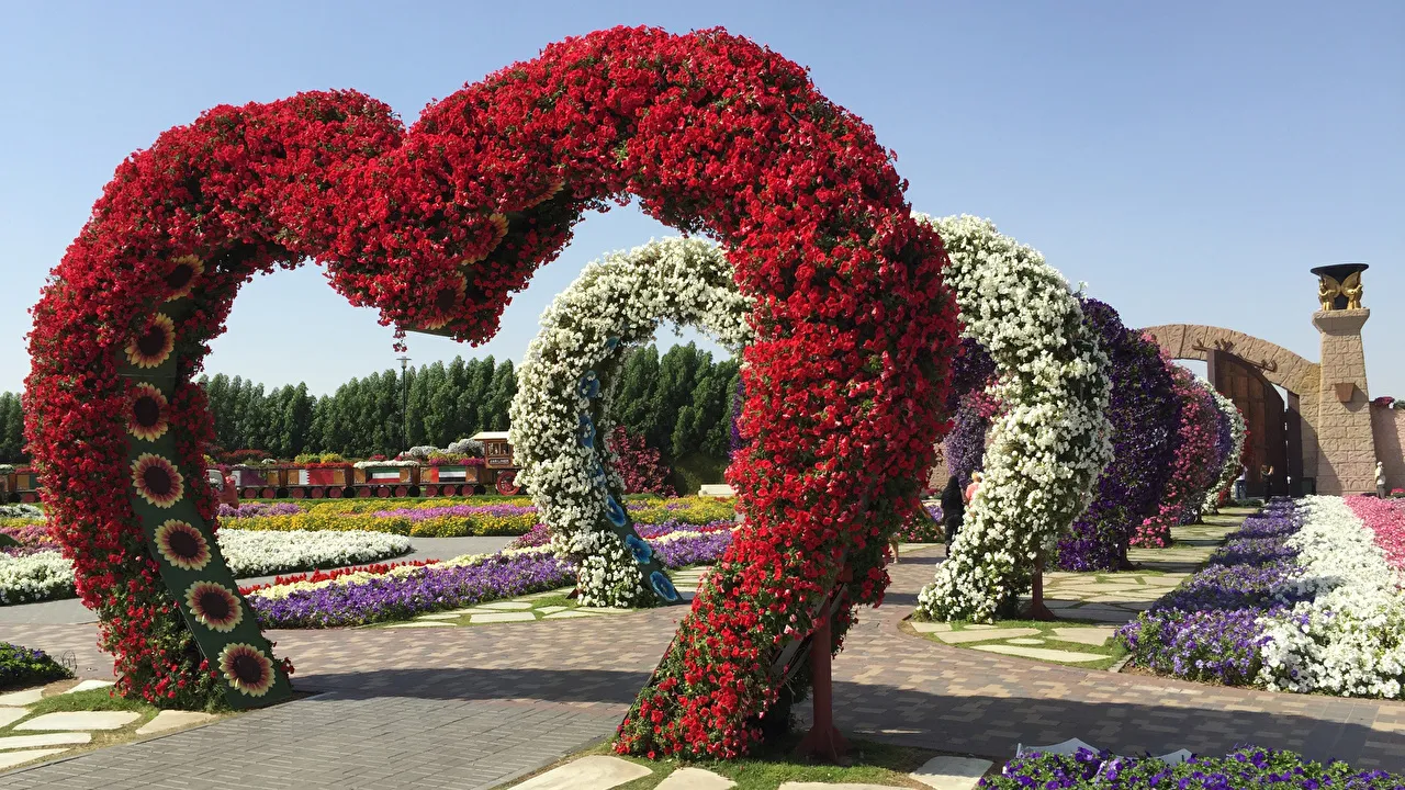 Dubai_Emirates_UAE_Petunia_Gardens_Miracle_Garden_527858_1280x720.jpg