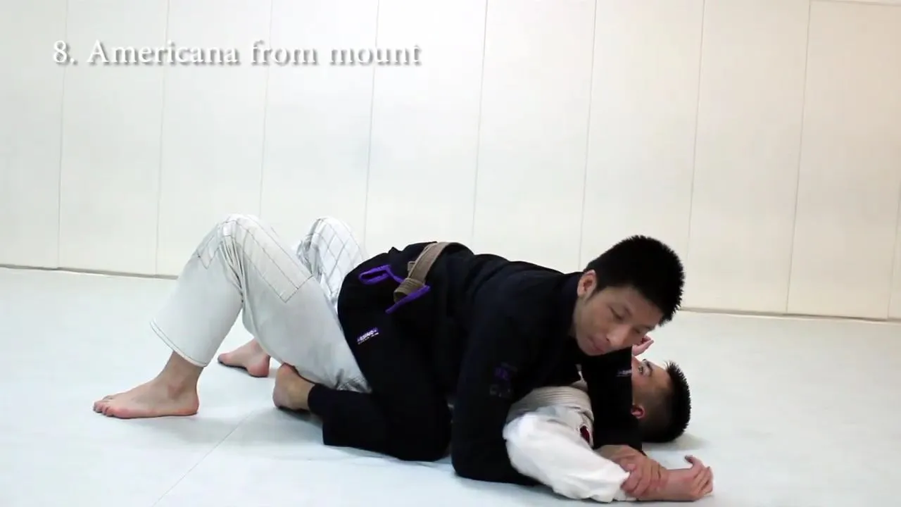 12 Must Know Techniques for White Belts.mp4_000172609.jpg