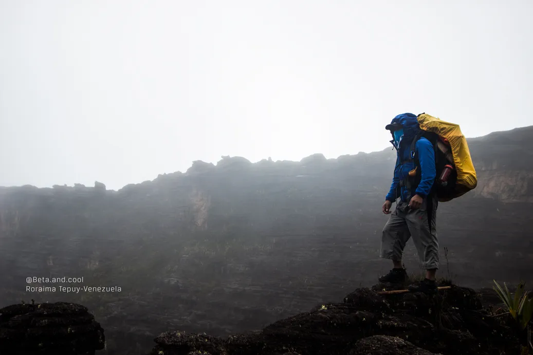 beta-and-cool-steemit-rafael-betancourt--tepuy-venezuela-roraima3.jpg