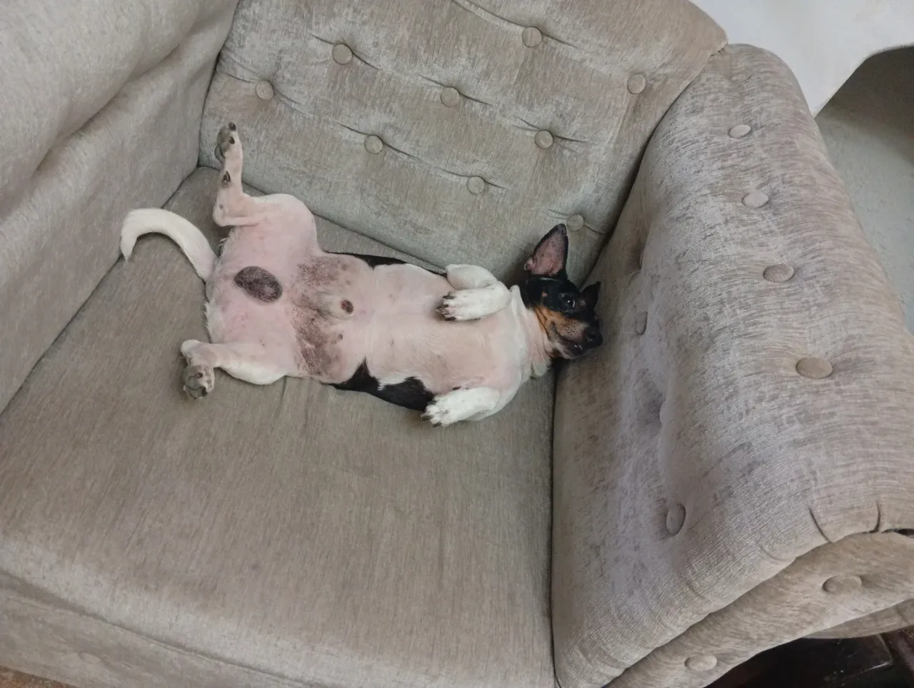 daWHlpMrmcq76EqS_137587.webp