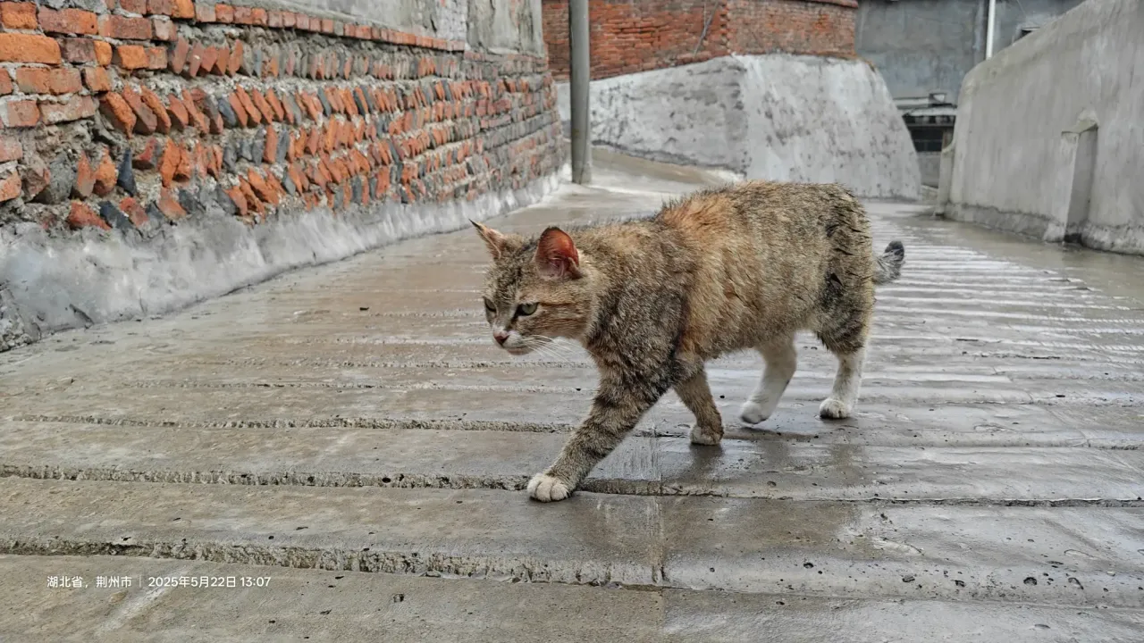 D3QmYQ0gmtTd4Qsz_1000013248.webp
