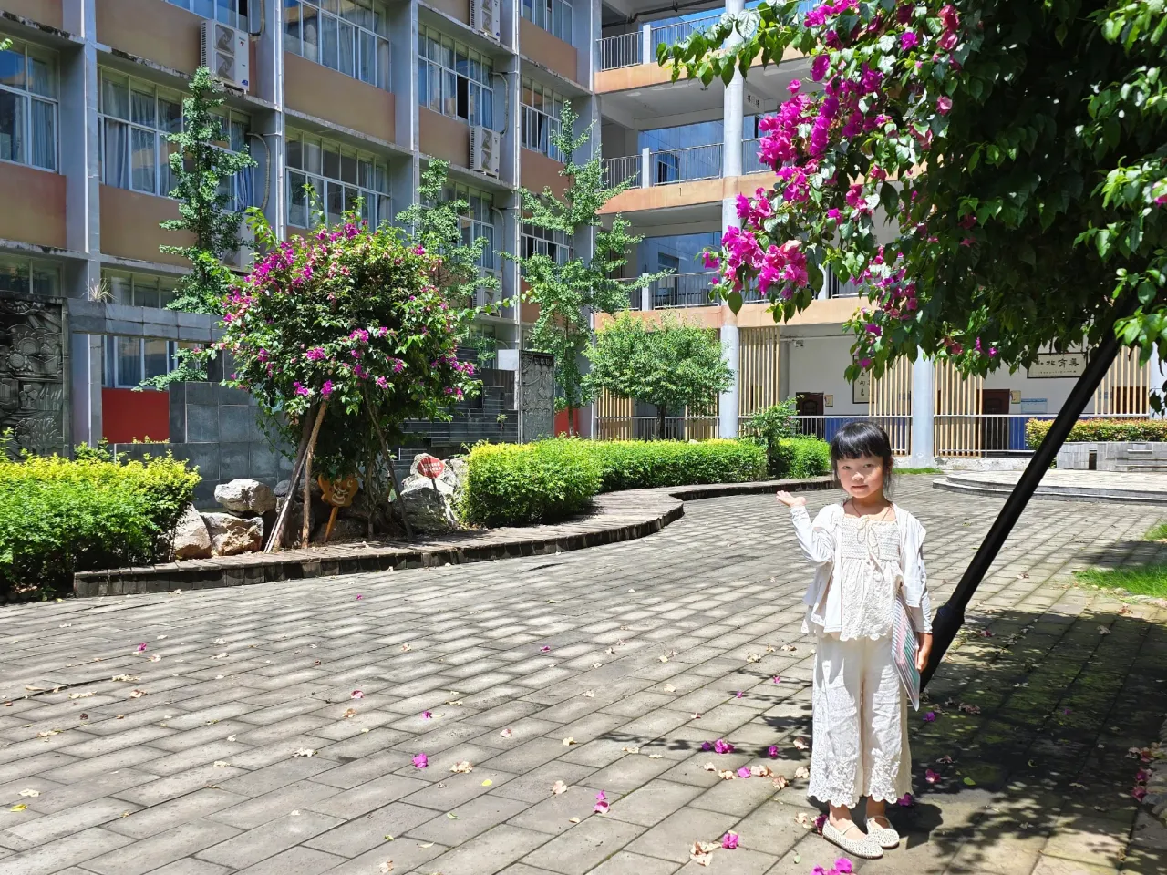 p0fzBnr6xfDDrj9y_IMG_7025.png