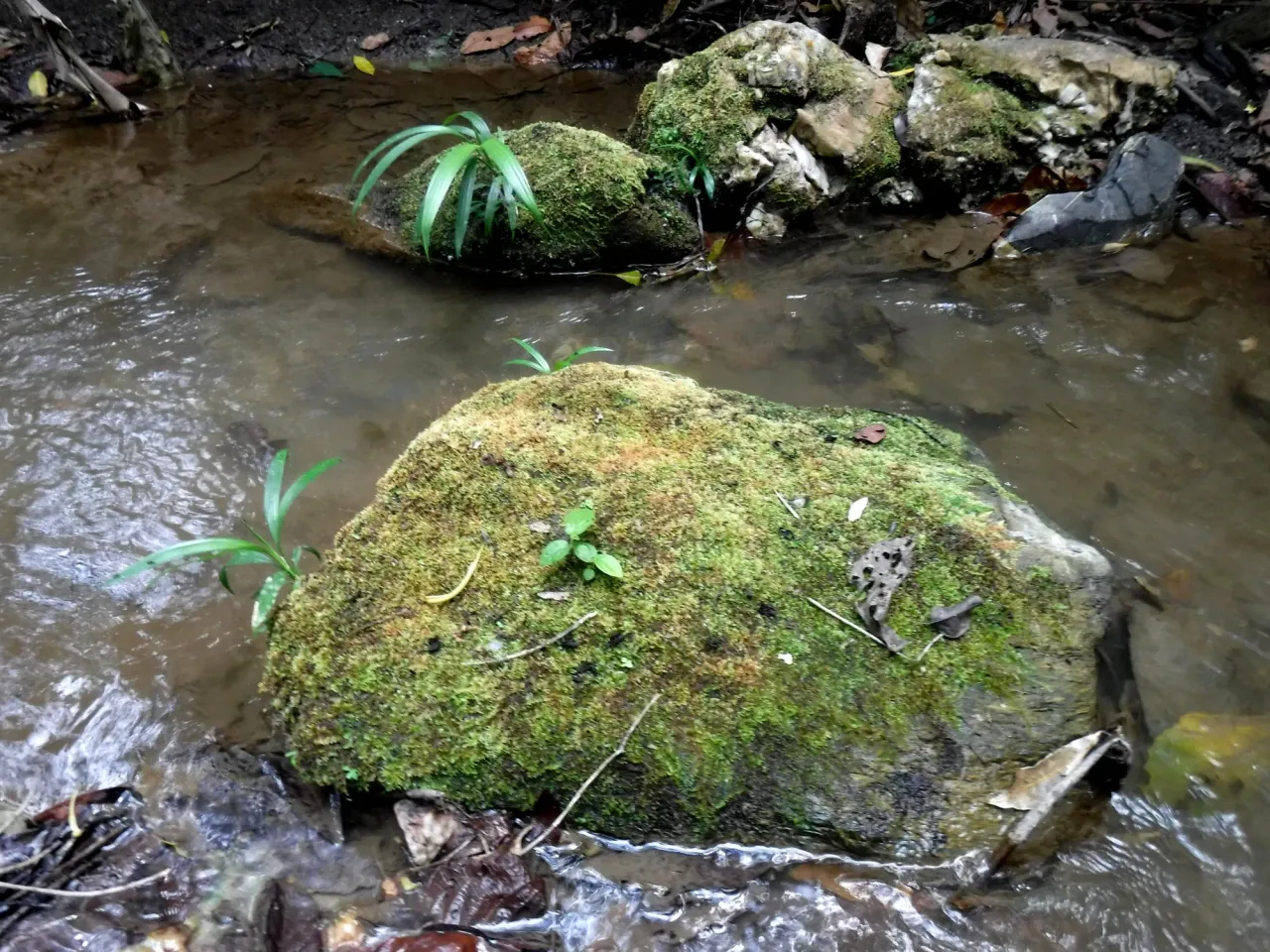 Gwz0s4Wo91iXadTV_DSCF8110.webp