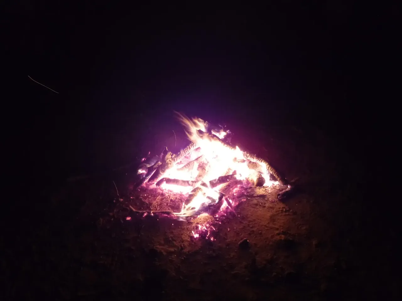 n3ktfPc5MUASlmSq_DSCF8199.webp