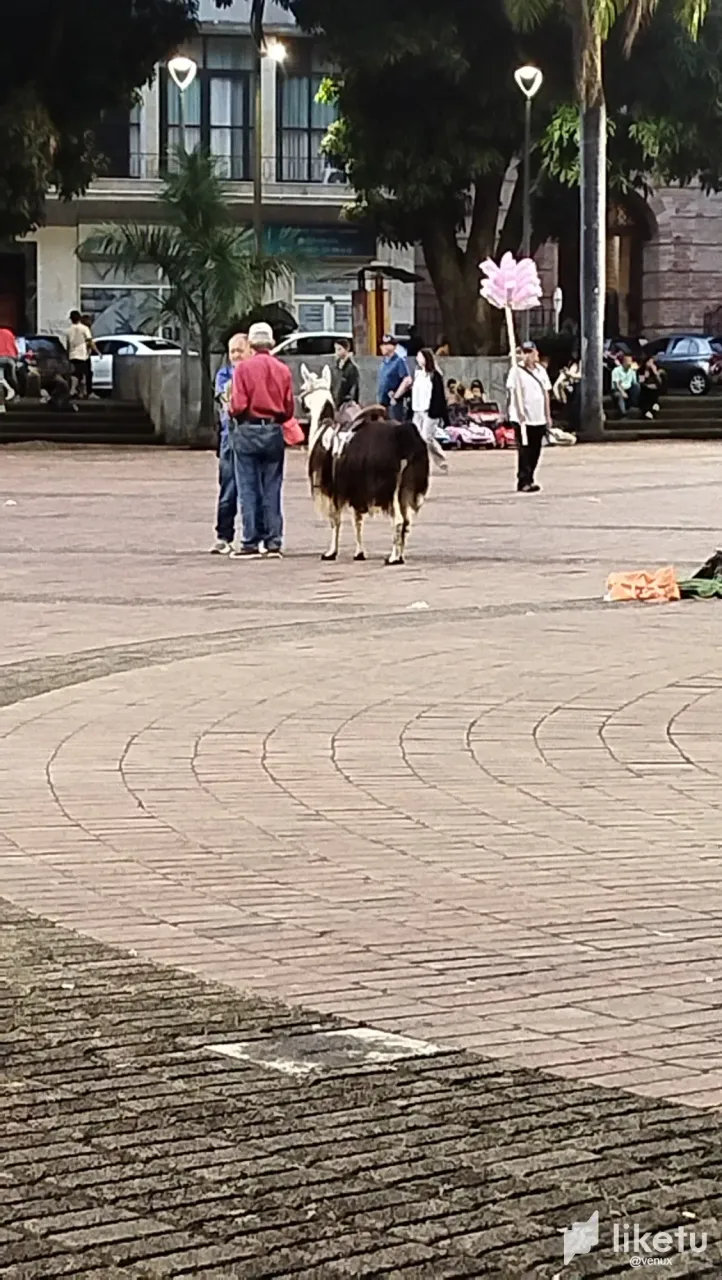 CQBTkqn3rKiAiDiF_1000176379.webp