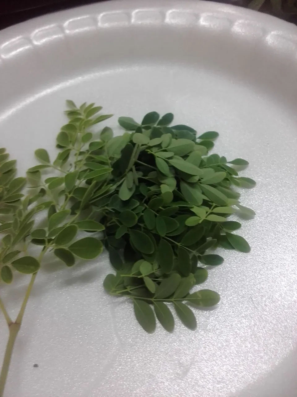 IMG-20190101-WA0025.jpeg