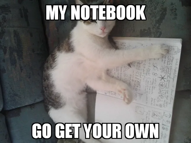 einsteins notebook 2.jpg