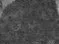 owls grey detail.jpg