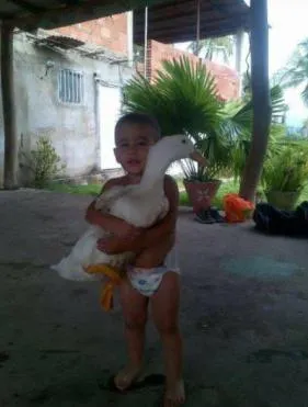 niño y pato.JPG