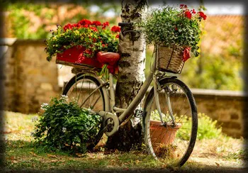 bike-3683405_960_720.jpg