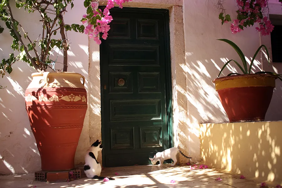 Corfu_Street_ph151_s.jpg