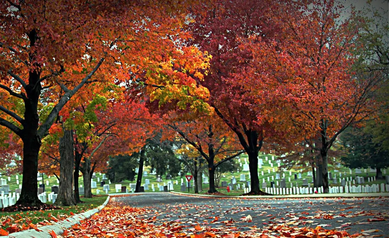 Arlington Cemetery.jpg
