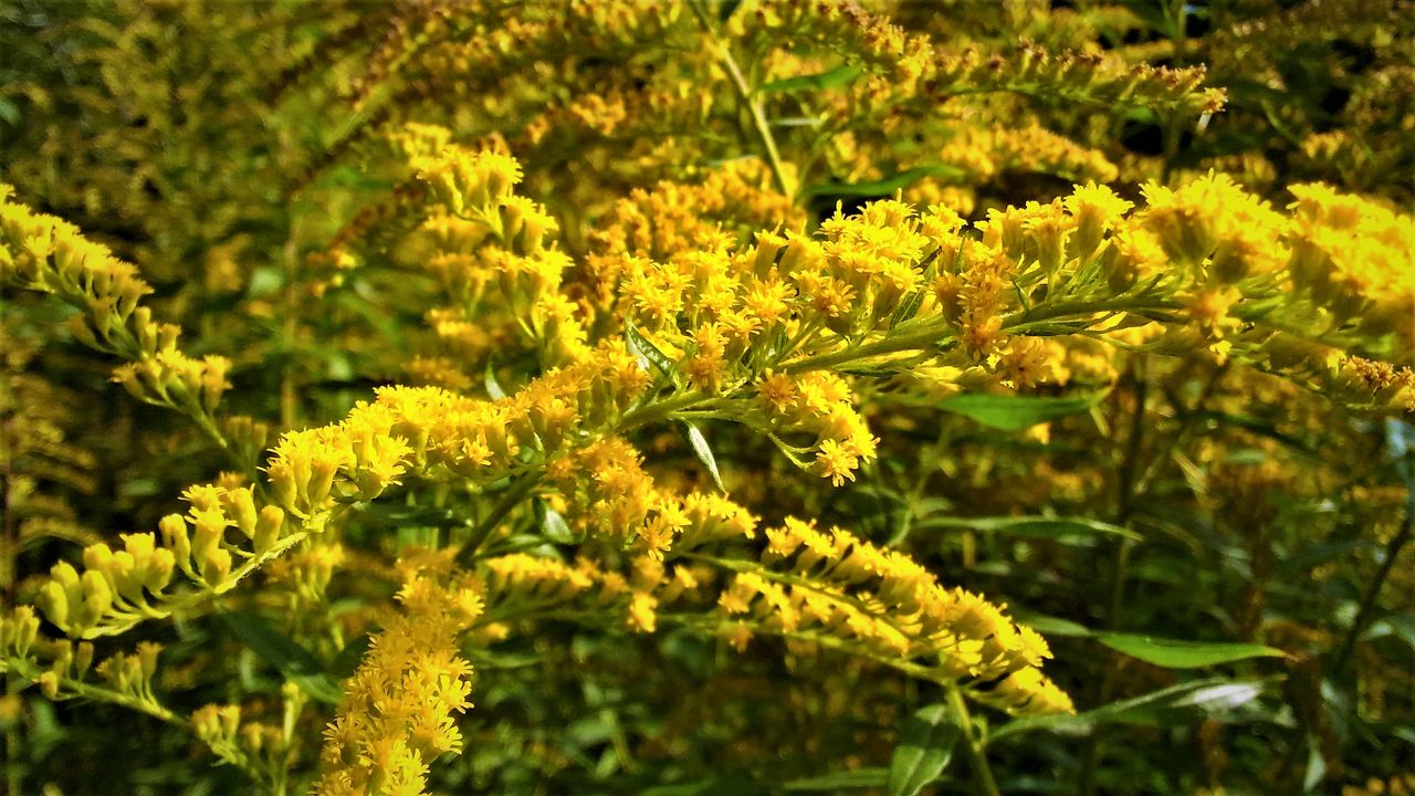 P_20180904_101026_NT.jpg