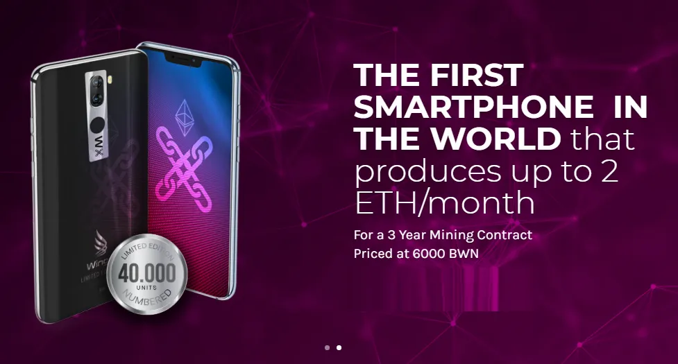 What is BitWings.png