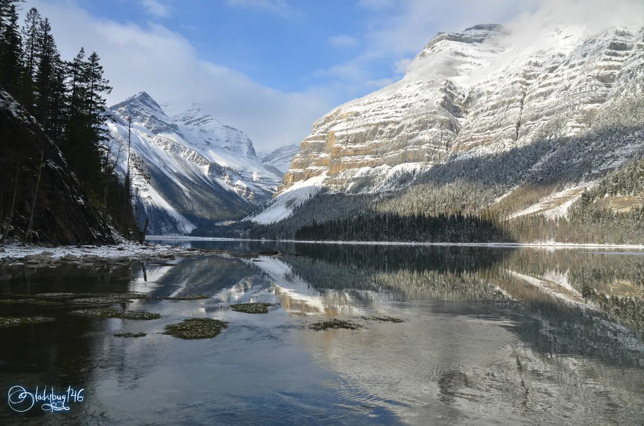 mount robson (2).jpg